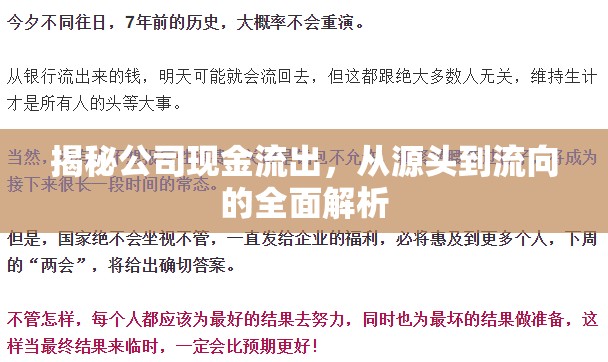 揭秘公司現(xiàn)金流出，從源頭到流向的全面解析