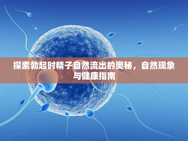 探索勃起時(shí)精子自然流出的奧秘，自然現(xiàn)象與健康指南