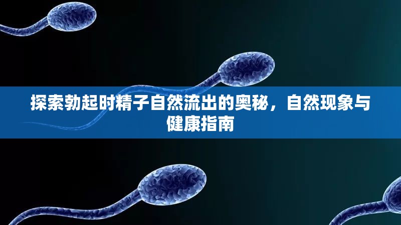 探索勃起時(shí)精子自然流出的奧秘，自然現(xiàn)象與健康指南