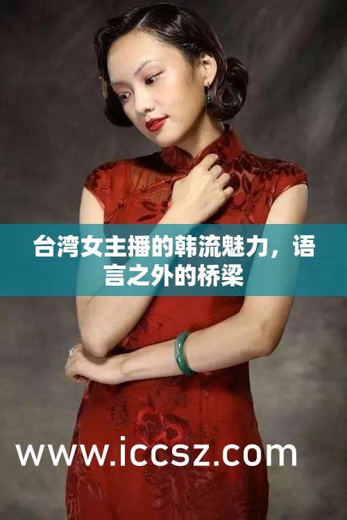 臺灣女主播的韓流魅力，語言之外的橋梁