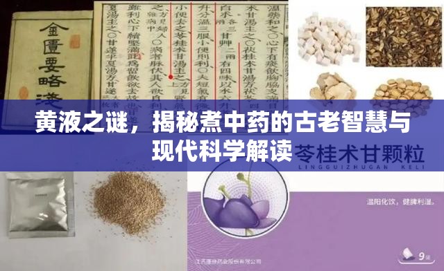 黃液之謎，揭秘煮中藥的古老智慧與現(xiàn)代科學(xué)解讀
