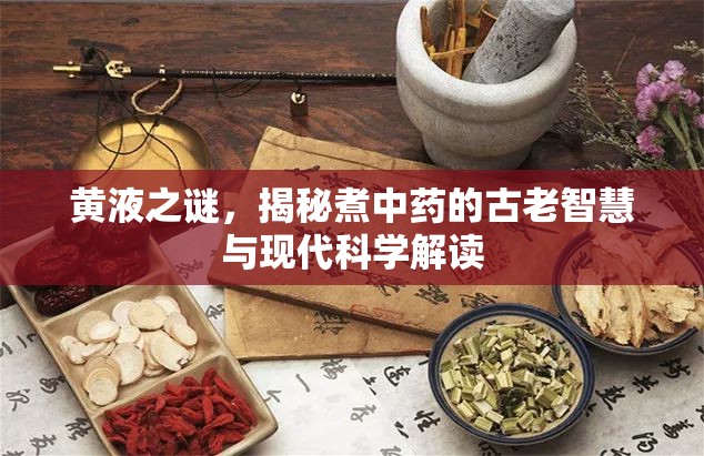 黃液之謎，揭秘煮中藥的古老智慧與現(xiàn)代科學(xué)解讀