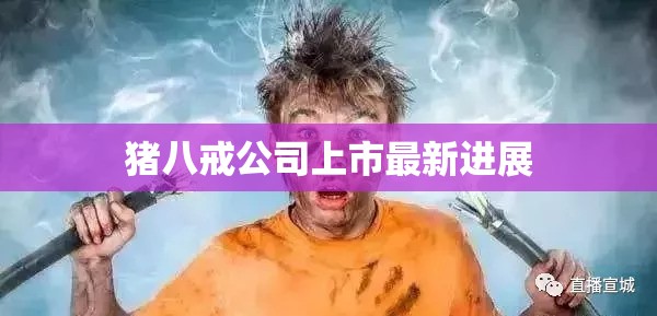 豬八戒公司上市最新進(jìn)展
