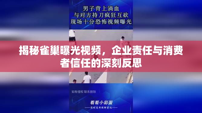 揭秘雀巢曝光視頻，企業(yè)責(zé)任與消費(fèi)者信任的深刻反思