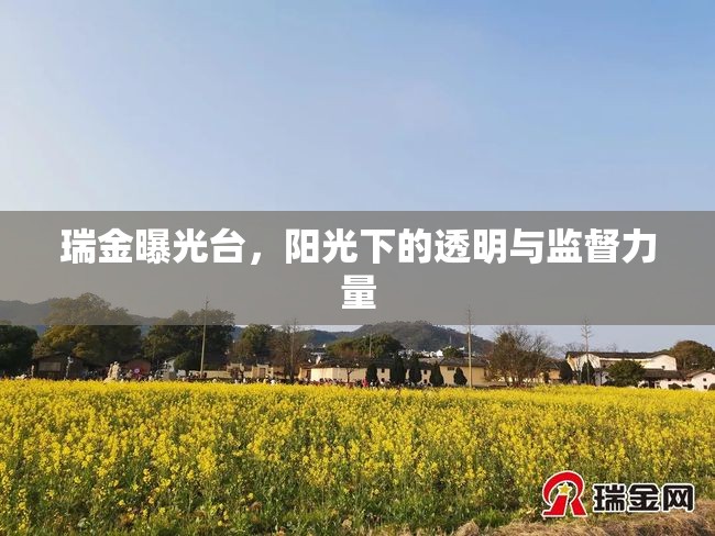 瑞金曝光臺，陽光下的透明與監(jiān)督力量