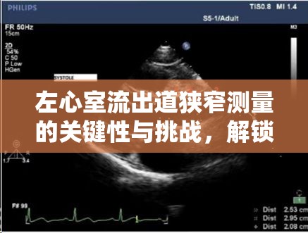 左心室流出道狹窄測量的關(guān)鍵性與挑戰(zhàn)，解鎖心臟健康的秘密