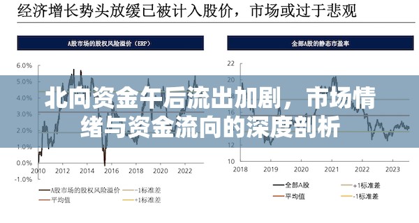 北向資金午后流出加劇，市場(chǎng)情緒與資金流向的深度剖析