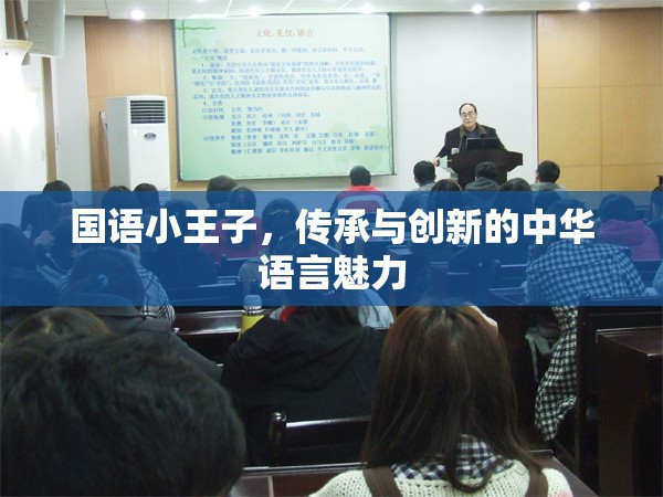 國語小王子，傳承與創(chuàng)新的中華語言魅力