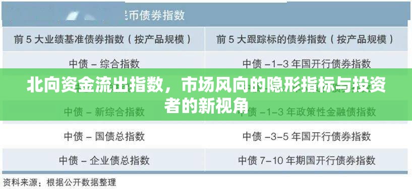 北向資金流出指數(shù)，市場風(fēng)向的隱形指標(biāo)與投資者的新視角