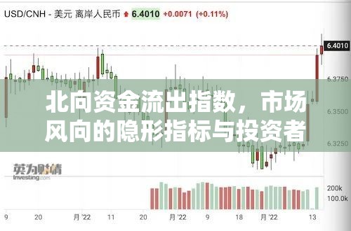 北向資金流出指數(shù)，市場風(fēng)向的隱形指標(biāo)與投資者的新視角