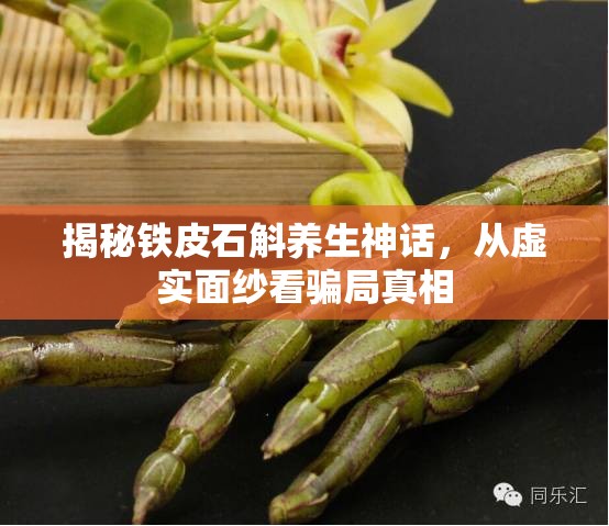 揭秘鐵皮石斛養(yǎng)生神話，從虛實(shí)面紗看騙局真相
