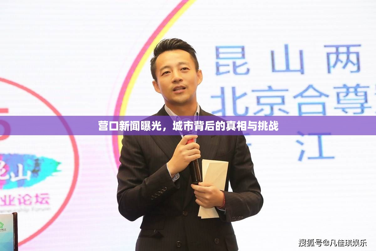 營口新聞曝光，城市背后的真相與挑戰(zhàn)