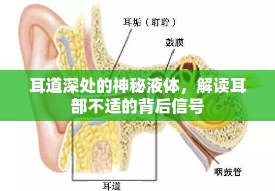 耳道深處的神秘液體，解讀耳部不適的背后信號(hào)