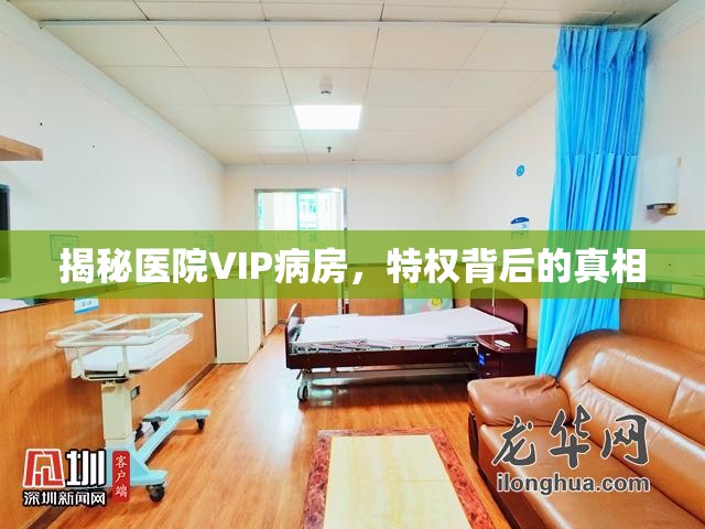 揭秘醫(yī)院VIP病房，特權(quán)背后的真相