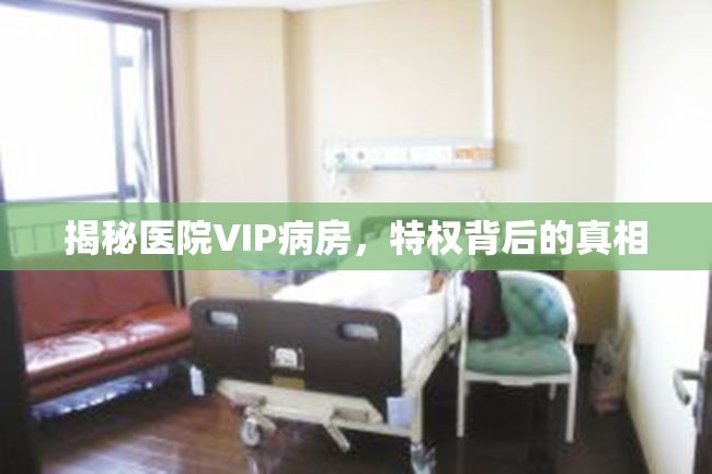 揭秘醫(yī)院VIP病房，特權(quán)背后的真相