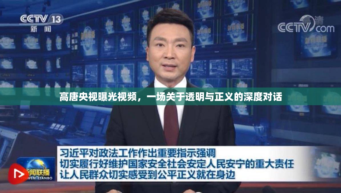 高唐央視曝光視頻，一場關(guān)于透明與正義的深度對話