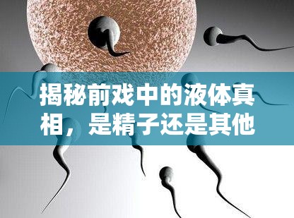 揭秘前戲中的液體真相，是精子還是其他？