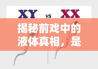揭秘前戲中的液體真相，是精子還是其他？
