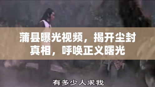 蒲縣曝光視頻，揭開(kāi)塵封真相，呼喚正義曙光