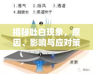 揭秘吐白現(xiàn)象，原因、影響與應(yīng)對策略