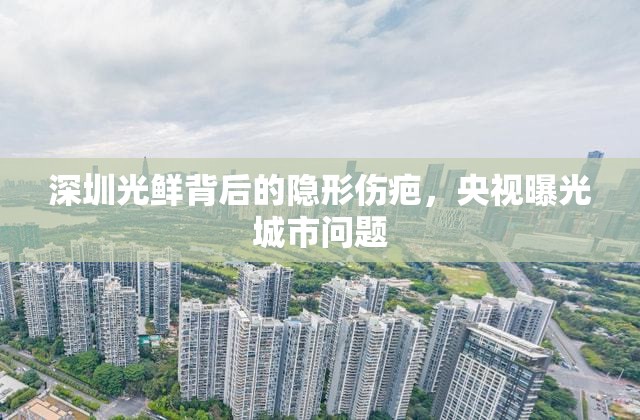 深圳光鮮背后的隱形傷疤，央視曝光城市問(wèn)題