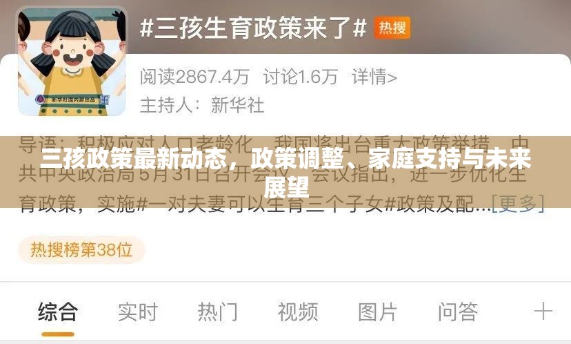 三孩政策最新動態(tài)，政策調(diào)整、家庭支持與未來展望