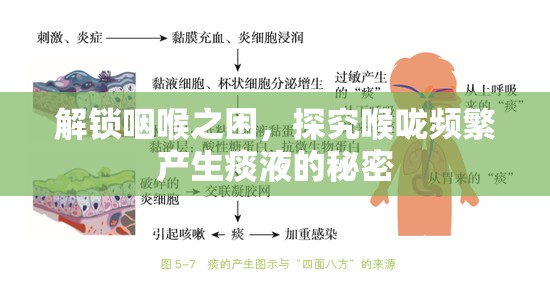 解鎖咽喉之困，探究喉嚨頻繁產(chǎn)生痰液的秘密