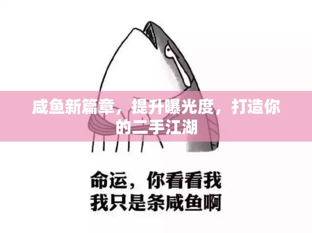 咸魚新篇章，提升曝光度，打造你的二手江湖