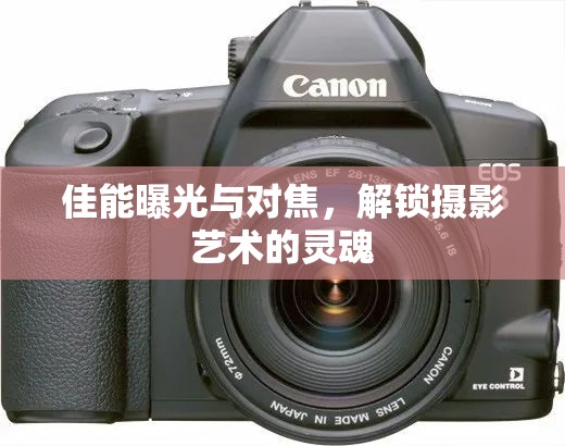 佳能曝光與對焦，解鎖攝影藝術的靈魂