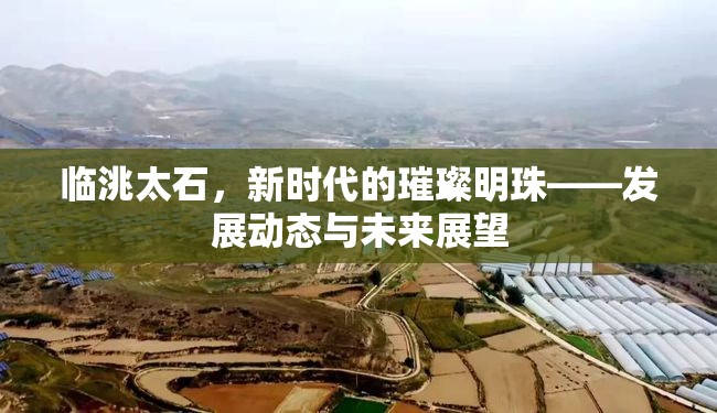 臨洮太石，新時代的璀璨明珠——發(fā)展動態(tài)與未來展望