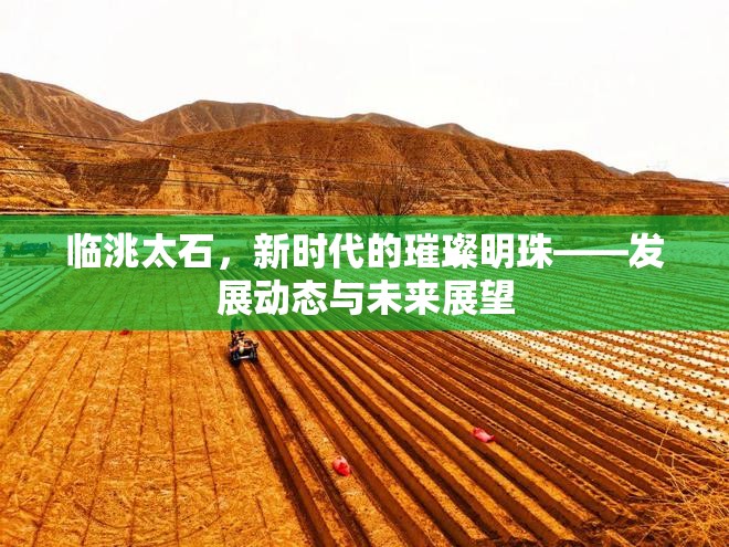 臨洮太石，新時代的璀璨明珠——發(fā)展動態(tài)與未來展望