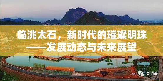 臨洮太石，新時代的璀璨明珠——發(fā)展動態(tài)與未來展望