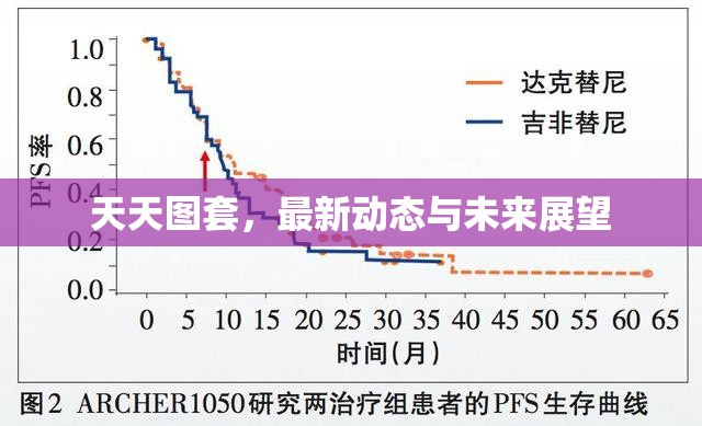 天天圖套，最新動態(tài)與未來展望