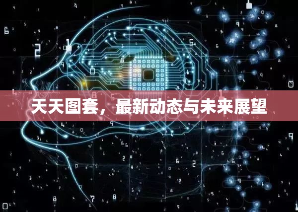 天天圖套，最新動態(tài)與未來展望