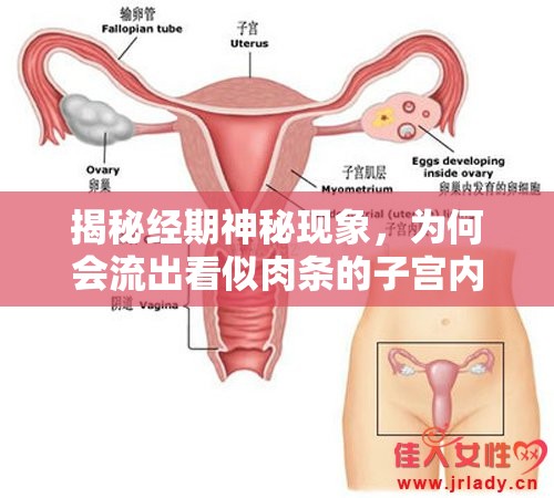 揭秘經(jīng)期神秘現(xiàn)象，為何會流出看似肉條的子宮內(nèi)膜？