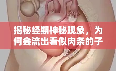 揭秘經(jīng)期神秘現(xiàn)象，為何會流出看似肉條的子宮內(nèi)膜？