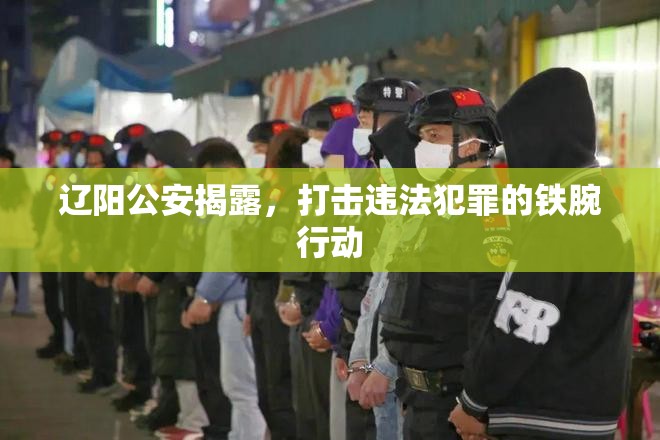 遼陽(yáng)公安揭露，打擊違法犯罪的鐵腕行動(dòng)