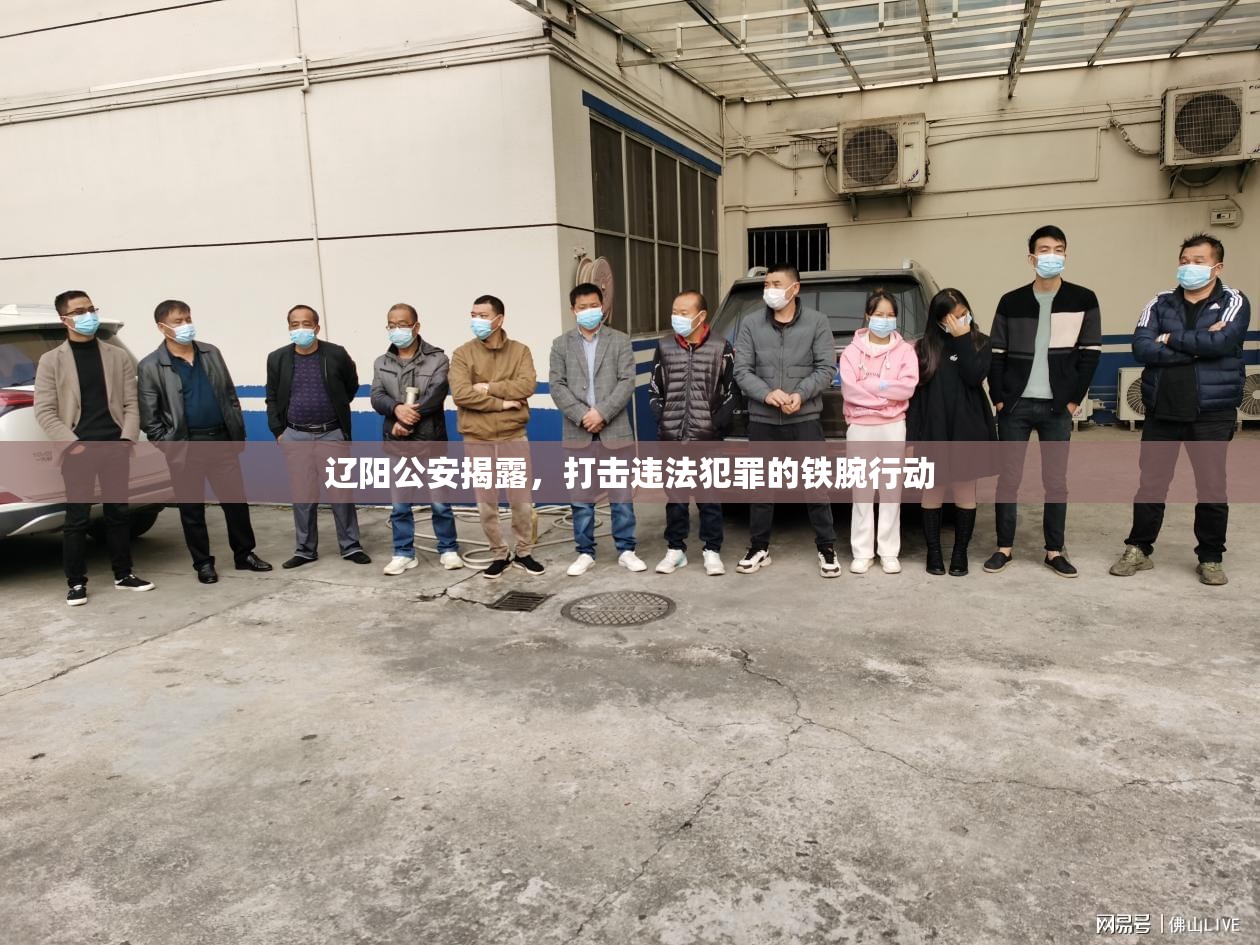 遼陽(yáng)公安揭露，打擊違法犯罪的鐵腕行動(dòng)