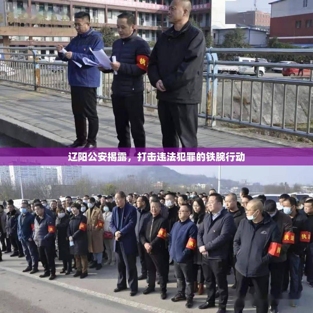 遼陽(yáng)公安揭露，打擊違法犯罪的鐵腕行動(dòng)