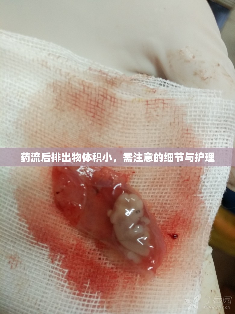 藥流后排出物體積小，需注意的細(xì)節(jié)與護(hù)理