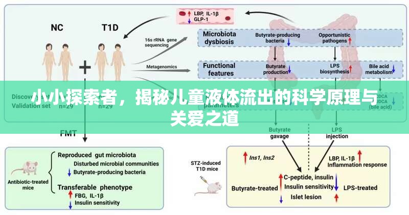小小探索者，揭秘兒童液體流出的科學(xué)原理與關(guān)愛之道