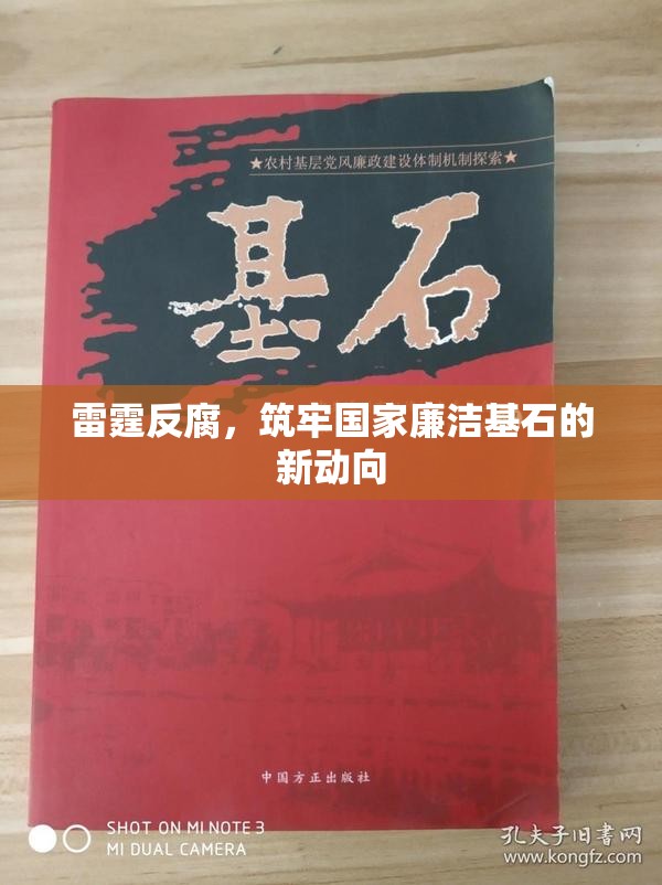雷霆反腐，筑牢國家廉潔基石的新動向