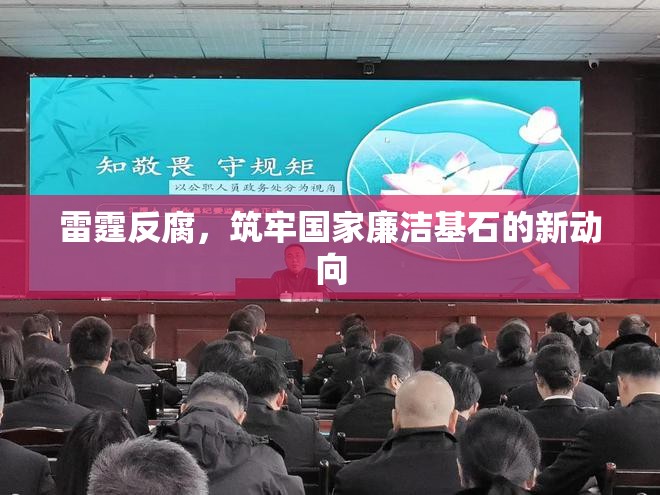 雷霆反腐，筑牢國家廉潔基石的新動向