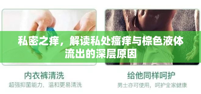 私密之癢，解讀私處瘙癢與棕色液體流出的深層原因