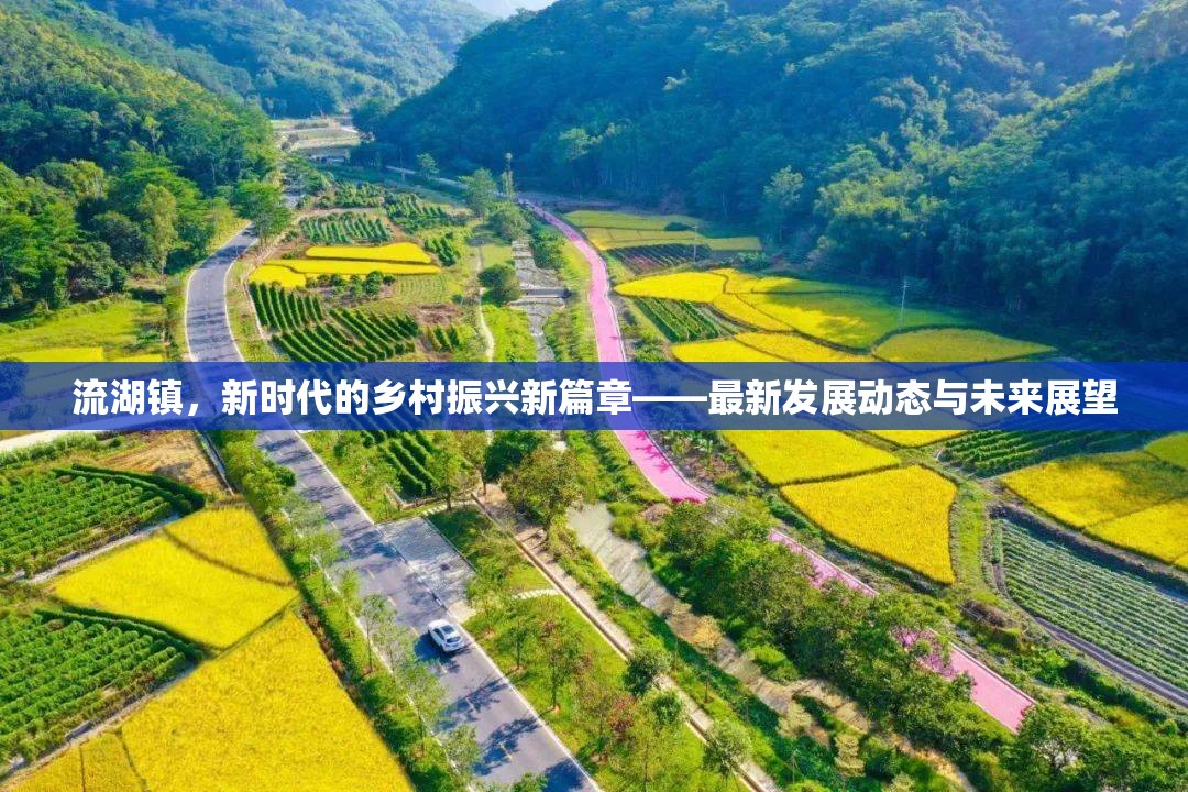 流湖鎮(zhèn)，新時代的鄉(xiāng)村振興新篇章——最新發(fā)展動態(tài)與未來展望