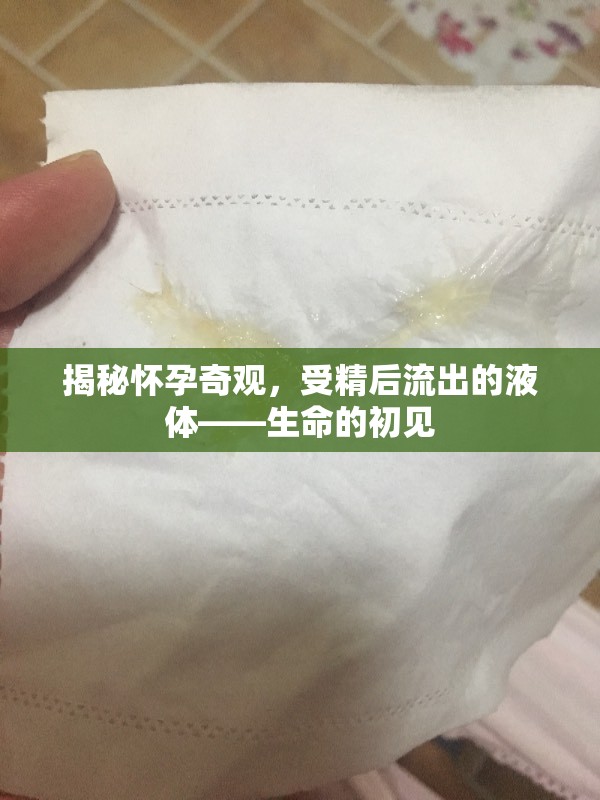 揭秘懷孕奇觀，受精后流出的液體——生命的初見