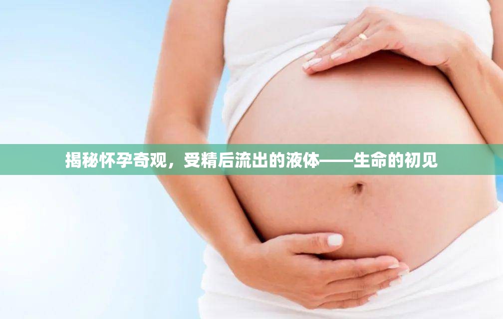 揭秘懷孕奇觀，受精后流出的液體——生命的初見