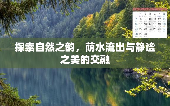 探索自然之韻，蔭水流出與靜謐之美的交融
