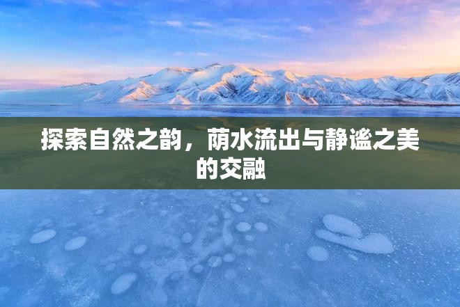 探索自然之韻，蔭水流出與靜謐之美的交融