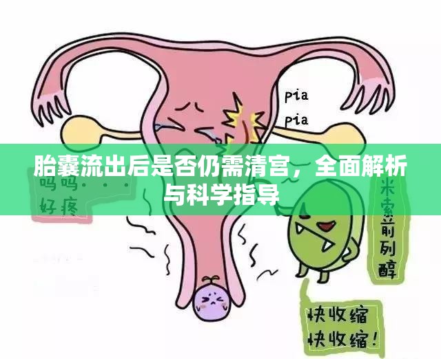 胎囊流出后是否仍需清宮，全面解析與科學(xué)指導(dǎo)